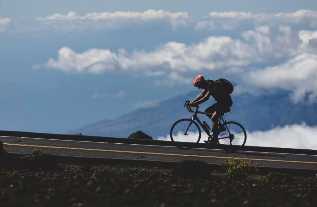 The “Gluteus Maximus Effortus” Plan: A Slightly Sarcastic Guide to Getting Fit Without Losing Your Mind